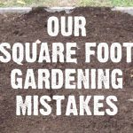 square foot gardening mistakes