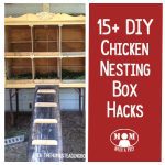 15+ Chicken Nesting Box Hacks @ Momwithaprep.com