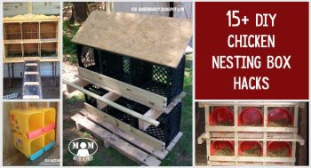 15+ Chicken Nesting Box Hacks @ Momwithaprep.com -pvc projects