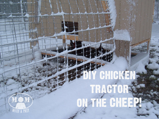 Have dreams of free ranging chickens but still want some place safe for them to be? Do you want to move them around a field or property instead of one space? A DIY Chicken Tractor might be for you!