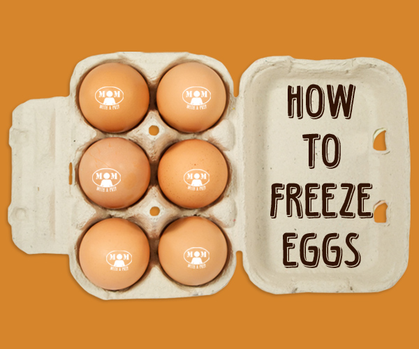 How to freeze eggs