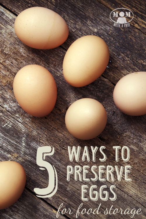 If you find yourself up to your eyeballs in eggs from overproduction or a great sale, here are 5+ ways to preserve them from Momwithaprep.com