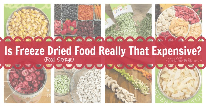 Freeze dried food is the healthiest, longest lasting option for food storage, but is it worth the money? Is it really as expensive as it seems?
