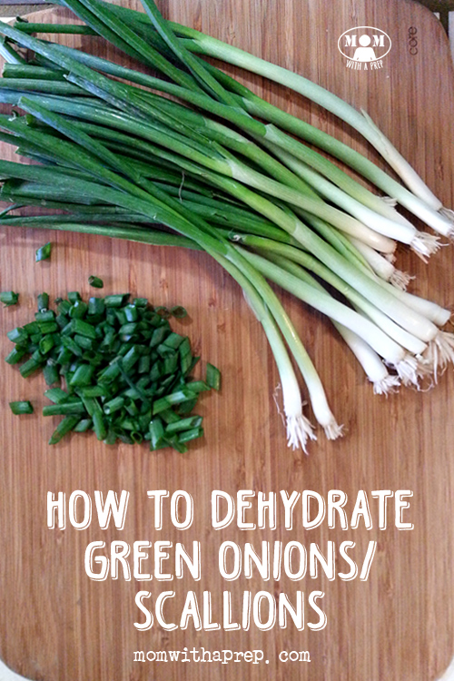 How to dehydrate green onions (or scallions) 