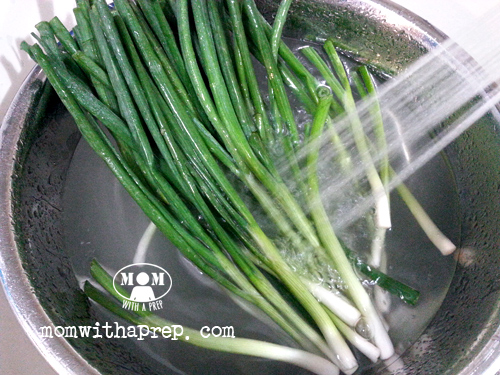 washing green onions 