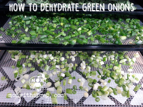 dehydrate green onions 