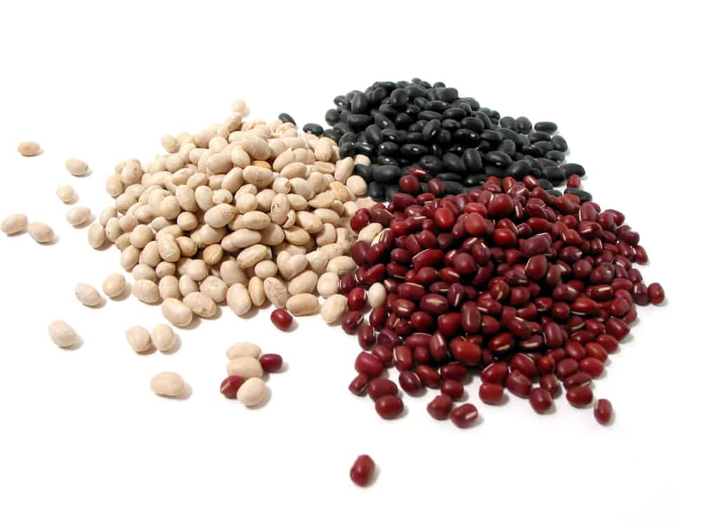 Dry beans are an essential in any food storage plan. They are inexpensive, extrememly healthy and have many use. Come learn how to use them!