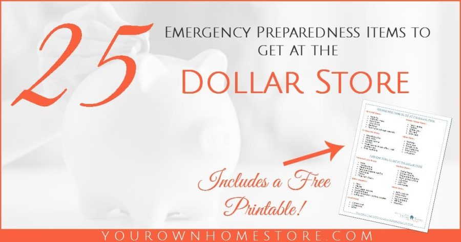 Emergency Preparedness can quickly get expensive. But if you know what you can buy at the dollar store, you can put the money you save toward bigger ticket items without impacting your budget. 