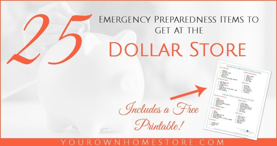 https://simplefamilypreparedness.com/wp-content/uploads/2016/09/Emergency-Preparedness-items-at-the-dollar-store-Facebook-1-900x473.jpg