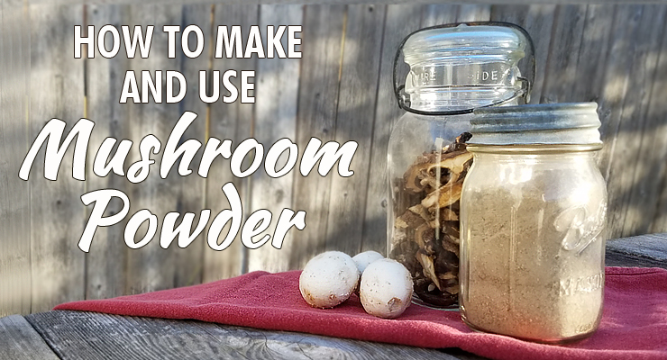 how to make mushroom powder