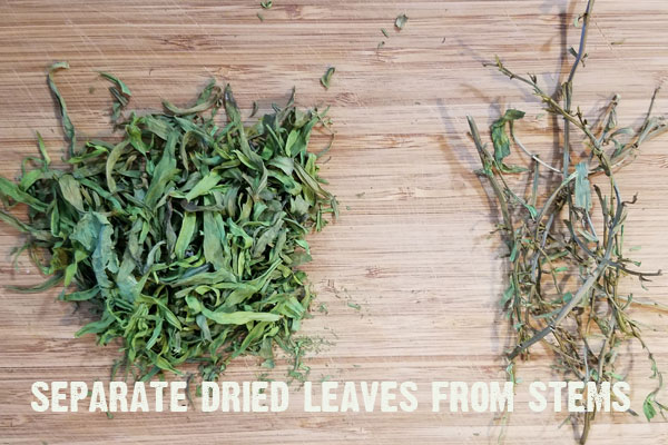 It's so easy to preserve tarragon in a variety of ways to keep the goodness from your backyard herb garden going all year long! Come see how!