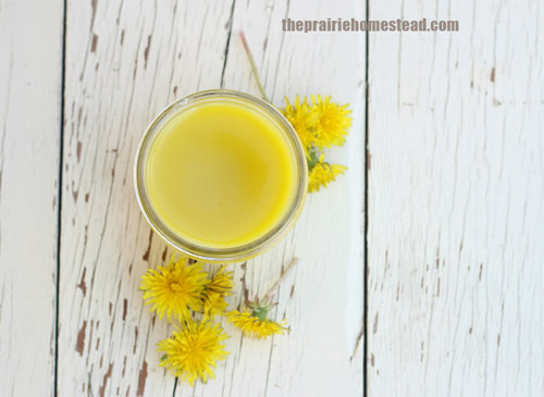 30+ Incredible Ways to Use Dandelions in Food Storage and more - Dandelion Salve for pain relief