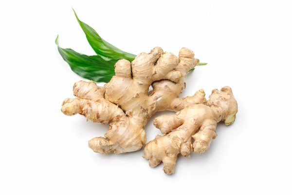 Ginger Root with Leaves
