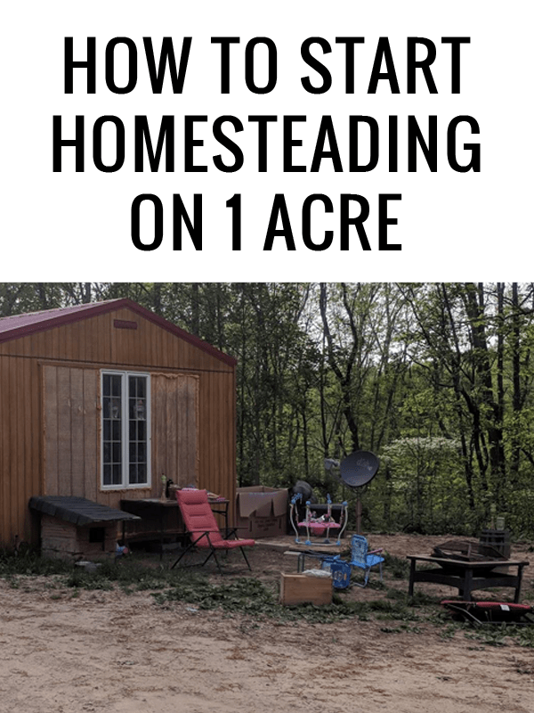 1 acre homesteading featured