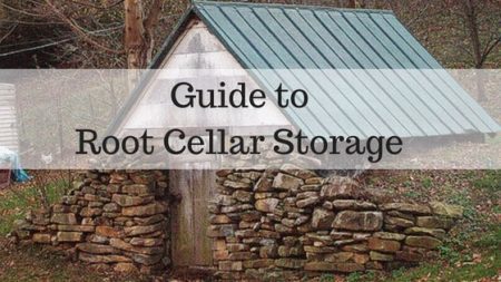 Guide to Root Cellar Storage