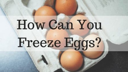 can you freeze eggs