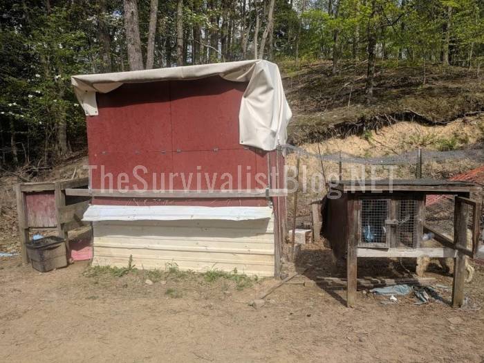 chicken coop and rabbit cages