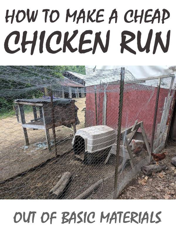 chicken run pinterest