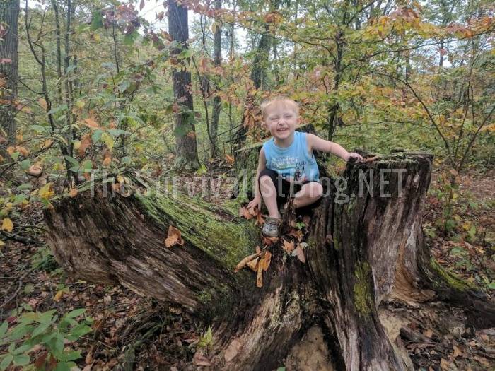 child sitting on tree stump