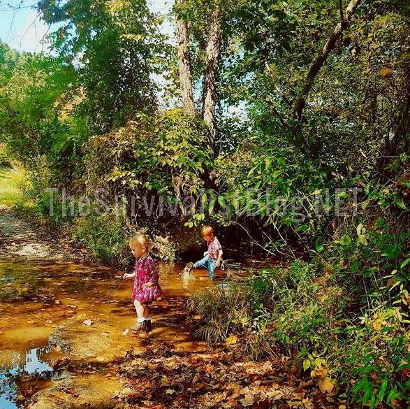 children playing in the creek