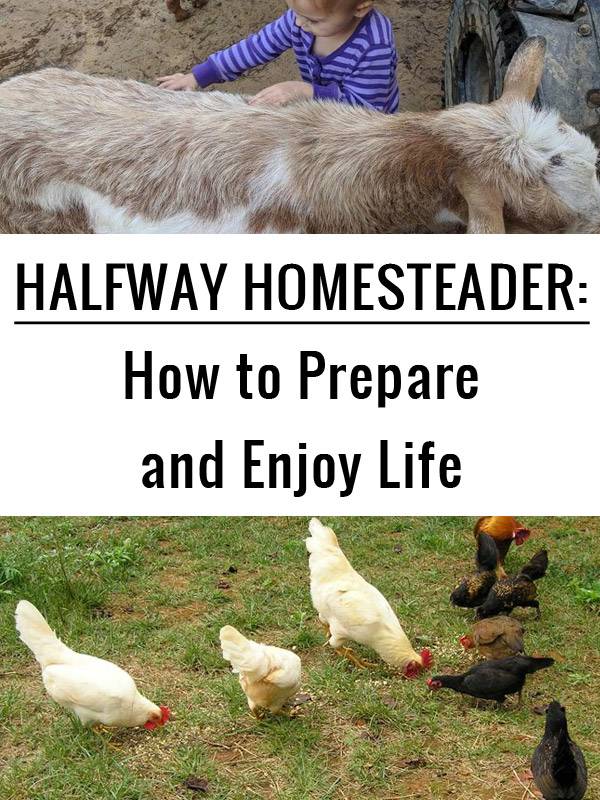 halfway homesteader pinterest