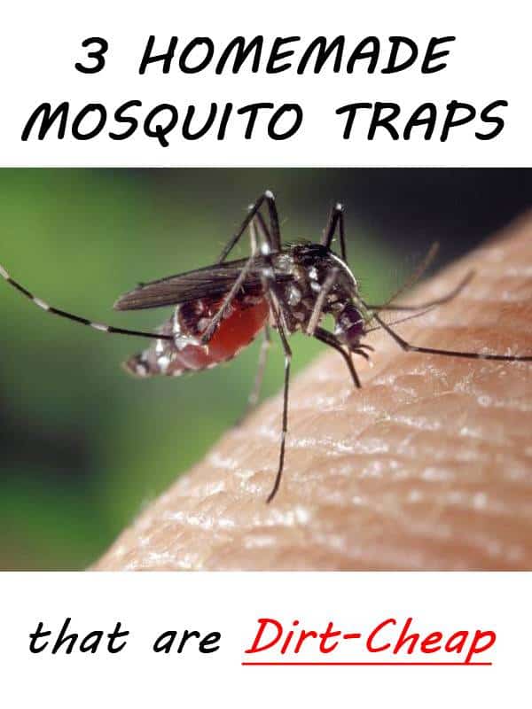 mosquito traps pinterest