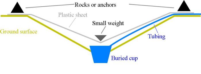 solar still