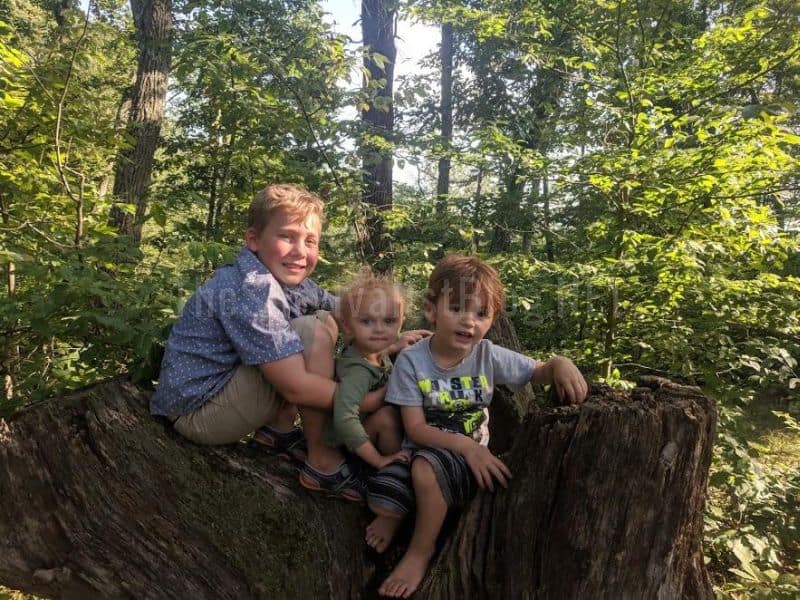children on a tree stump