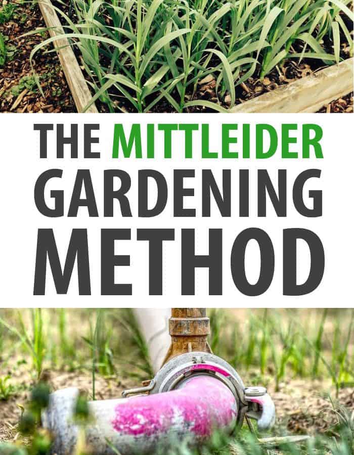 Mittleider Gardening pinterest