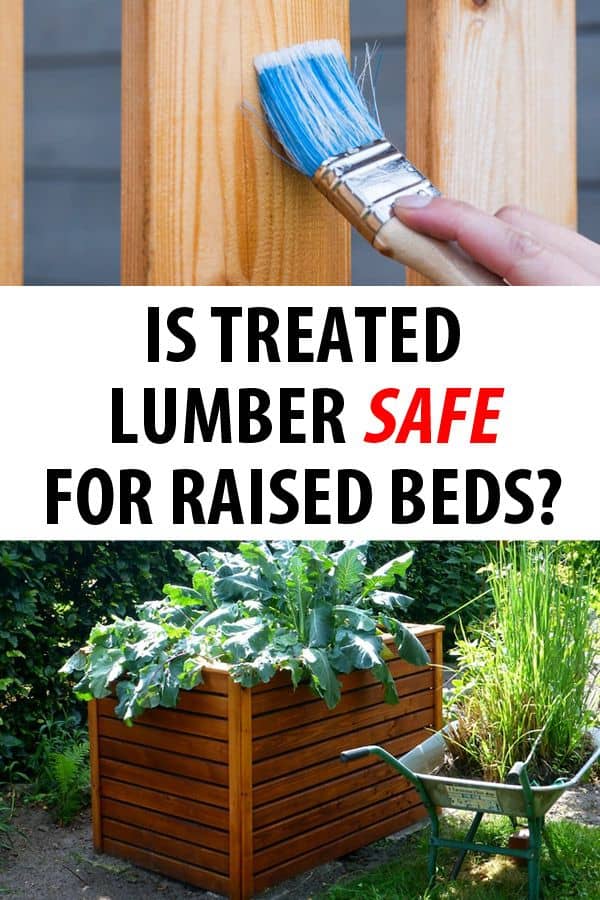 treated lumber safety featured