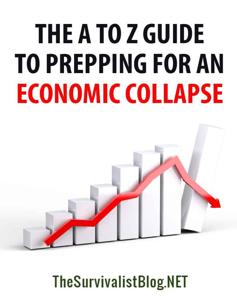 economic collapse prepping pin