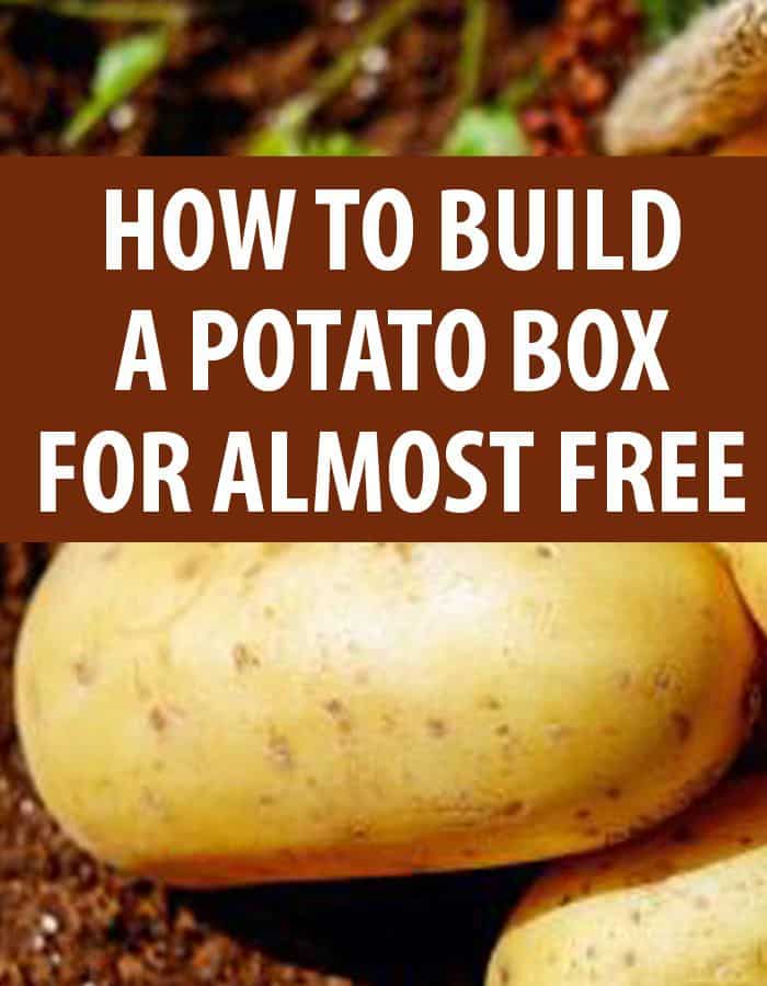 potato box pinterest