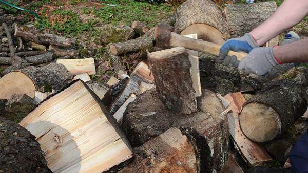 cutting wood with axe