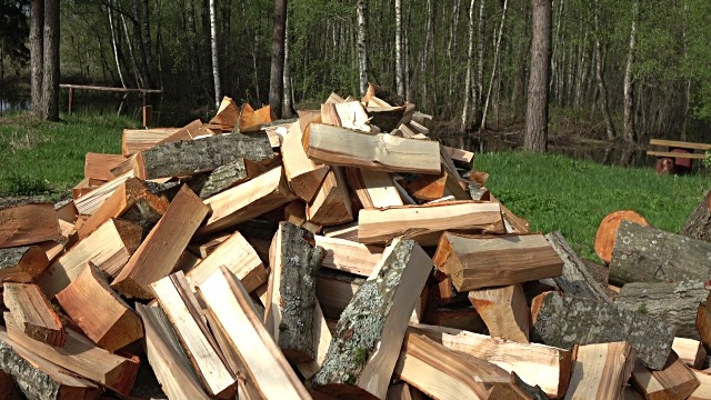 Prepare raw shopped firewood in stack for dry in farm