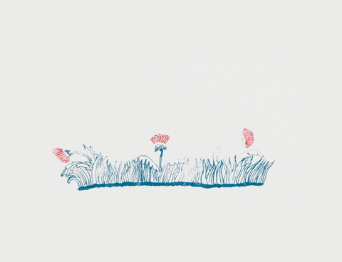 illustration of grass and flowers which turned out to have two pairs of feet