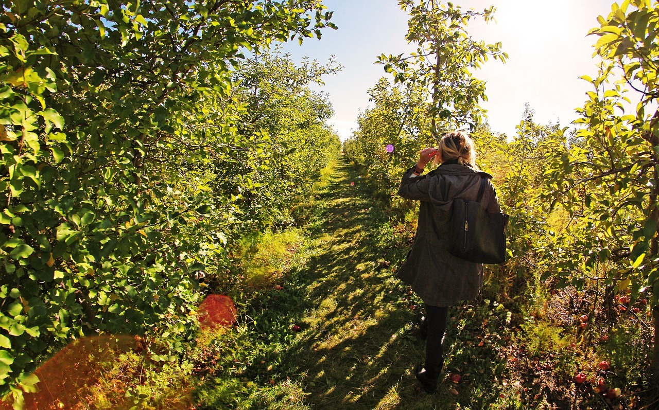 a woman walking around in an apple farm