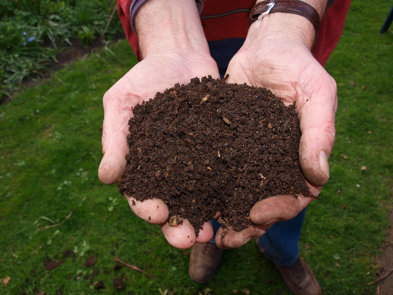 two hands what a healthy compost soil looks like