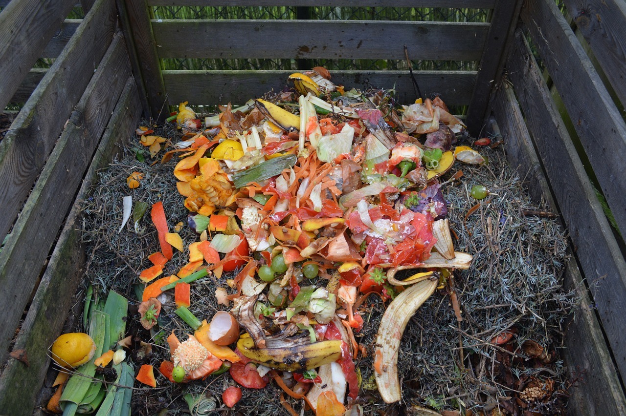 compost bin filled with grass clippings and fruit peelings