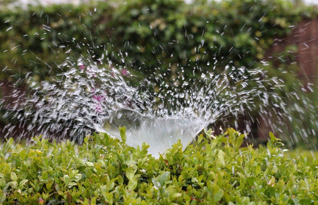 garden sprinkler watering the plants