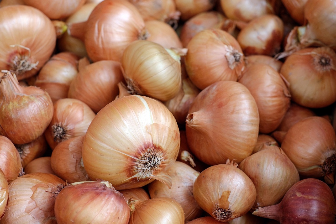 light red onions