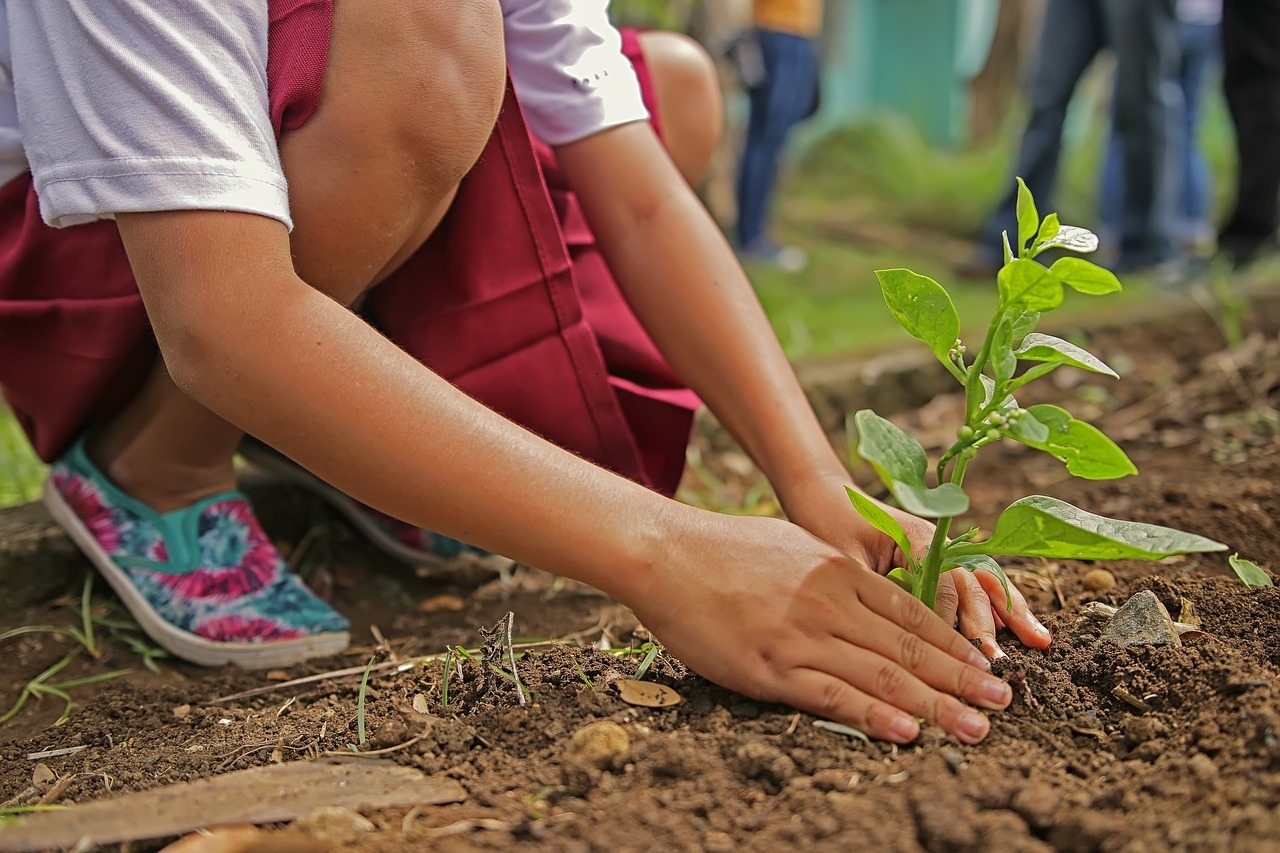 a child planting a young plant in a community garden
