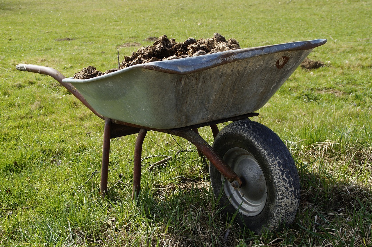 wheelbarrow full of manure
