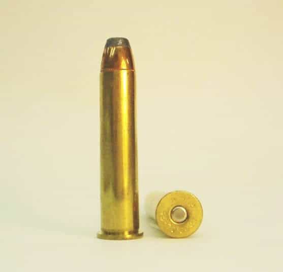 .45-70 Government cartridge