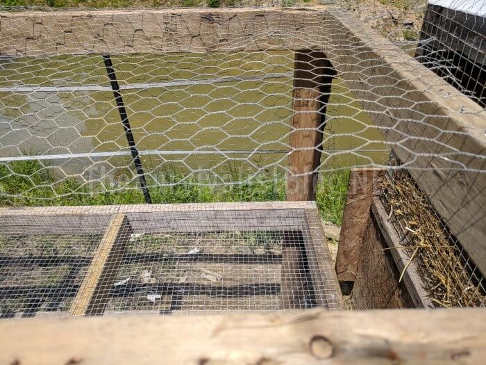 chicken wire on top of the coop