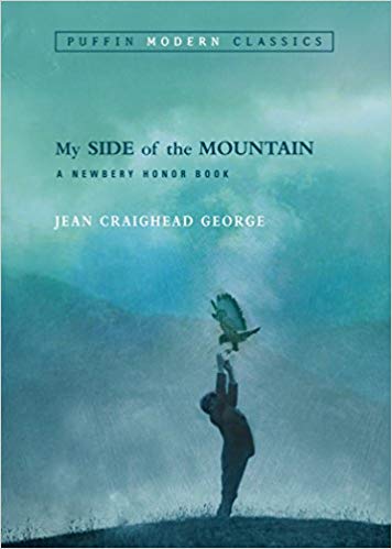 ​My Side of the Mountain by Jean Craighead George: BEST 27 SURVIVAL BOOKS FOR KIDS