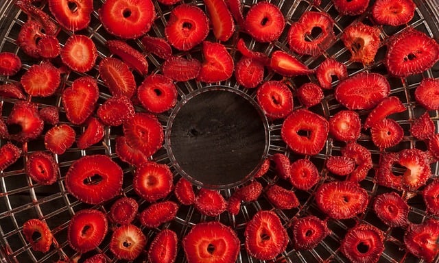 Dehydrated Strawberry 