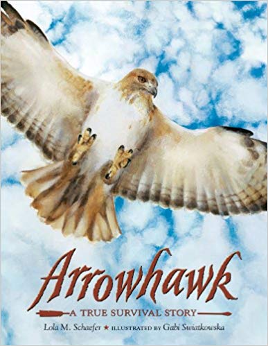 ​Arrowhawk by Lola Schaefer