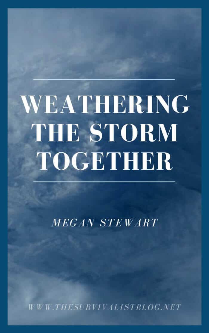 weathering the storm ecover