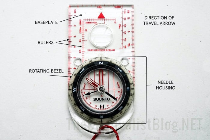 compass anatomy part 2