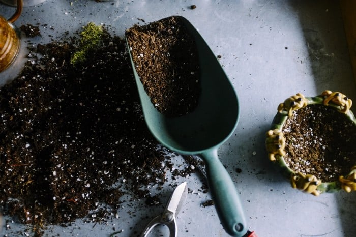 gardening soil and trowel